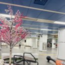 중앙시장 북쪽 | 안동여행 월영교, 병산서원, 하회마을,안동 신중앙시장 둘러보기