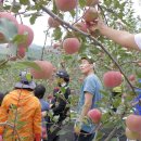 청송중부동분교 이미지