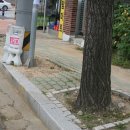 봉곡동117 이미지