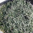 농기계공작실 이미지