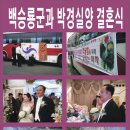 백년회로 이미지