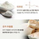 피부홀릭