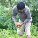 배바우농장 이미지