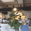 에이젯커피(아재커피) 이미지