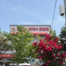 춘천 맛집 추천 | 풍자 또간집 ‘학곡리막국수닭갈비’ 내돈내산 솔직후기 (주차·웨이팅팁)