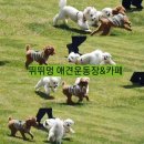 놀멍뛰멍 이미지