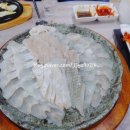 동해활어 이미지