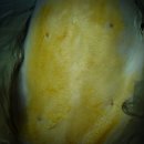 중동 우리아이 동물병원 이미지