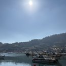 늘푸른농장2 | 통영 욕지도 고등어회 맛집 늘푸른횟집 내돈내산 솔직후기