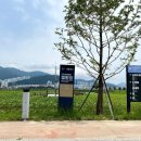 대저캠핑장 이미지