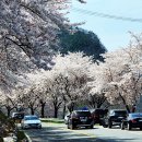 운문가는길 이미지