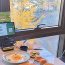 비슬타워 북편 | 현풍 맛집 경양식돈까스 뜨돈 테크노폴리스점 점심 밥집