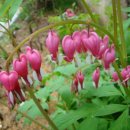 밥풀떼기 이미지