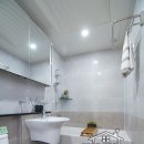 진성투토펠리체 이미지