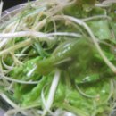 아우성생오리 이미지