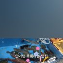지희상회