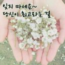 맑은사람들 이미지