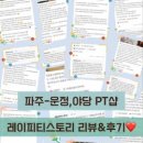 레이 피티 네이버블로그