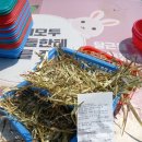 안성흑염소농장 이미지