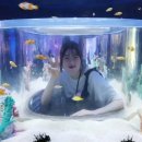 개미통신 | CES 4주 어학연수 후기 - 대학생