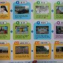 마루애견 이미지