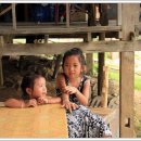 꼬마코끼리가는길 이미지