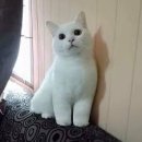 위드클래스