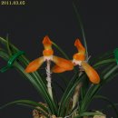 산과여울 이미지