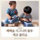 에코블루 | 베베숲 아기물티슈 추천이유 시그니처 블루 에코 물티슈 찐사용 후기