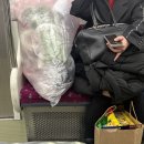 승연카서비스 | 센텀 미용실·부산 가볼 만한 미용실·센텀 미용실 추천·마끼에 센텀점 승연 디자이너] 신인상 수상!!