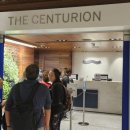 시논인터네셔널 이미지