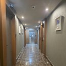 호텔 피에드 동대구 | 대구 동구 로열호텔 후기｜동대구역 근처 가성비 숙소 찾는다면 여기!