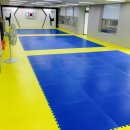 창신태권도 이미지