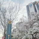 허밍웨이길 | 이번주 토요일 비 소식! 꽃 떨어지기 전 꼭 가야 할 반포 벚꽃길