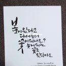 늦게 피는 꽃 이미지