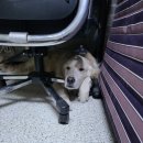 민식농장 이미지