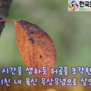 김태근 인문학 여행 #낙엽이 가는 길 #시: 서정호 시인 #낭송: 김태근 이미지