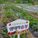 꼬망쎄 어린이집 이미지