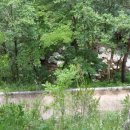 상원민박 이미지