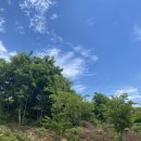 심가네 두루치기 | 용화동 두루찌개심가네에서 두루치기랑 냉면에 고기