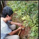 백산농장 이미지