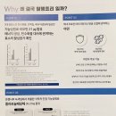 (주)에이치알바이오 | [혈행프리 리뷰] 제이온의 기억력·혈액순환 개선 건강기능식품, 직접 먹어본 후기!