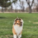 여주-0898 이미지