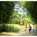 대숲속으로 이미지