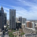 🇦🇺 11월 시드니 Day3. 뉴타운 취향저격 소품샵/편집샵, 맥주 양조장 그리고 시드니 대학교까지