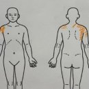 더조은 정형외과의원 이미지