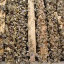 (주)신왕 이미지