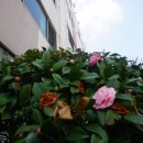 부성종합건설(주) 이미지