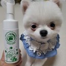 씻겨줄개 이미지