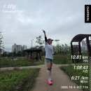 11260-2-10-5 | 마운자로 25-28일차(10/2~5) - 식단 부작용 내돈내산 후기(4주차: 9/29-10/5)